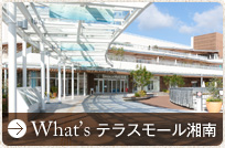 What's テラスモール湘南